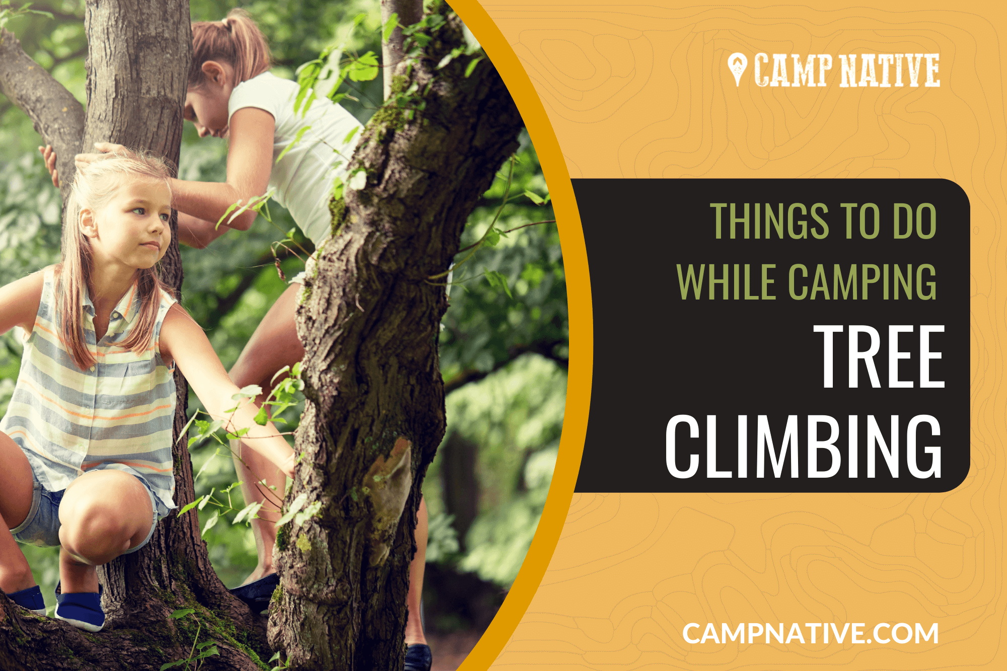 THINGS TO DO WHILE CAMPING TREE CLIMBING