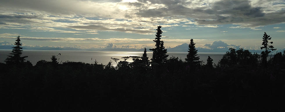 Treetops Alaskan Angler RV Resort