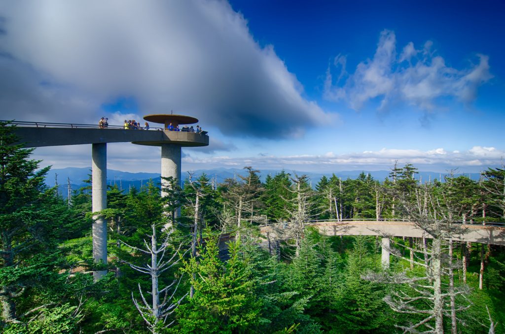 30239814 - clingmans dome - great smoky mountains national park