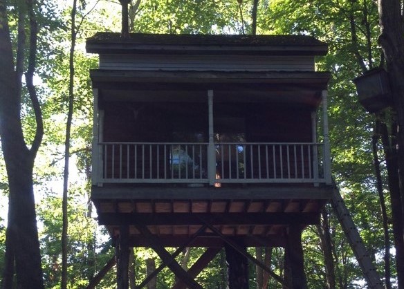 woodys tree house 2