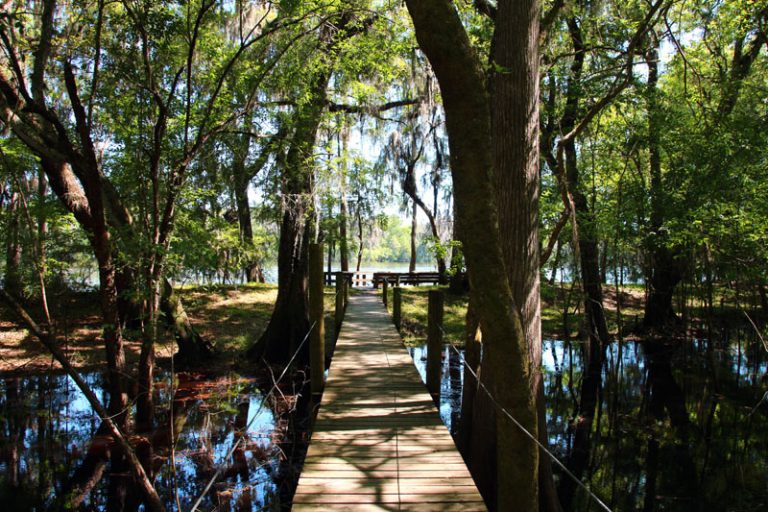 Suwannee River Hideaway Campground: Old Town, Florida - Camp Native